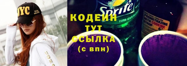 прущий лед Богданович