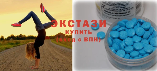 мдпв Богородицк