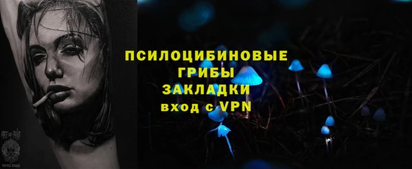 мдпв Богородицк
