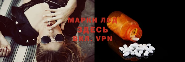 прущий лед Богданович
