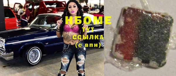 мдпв Богородицк