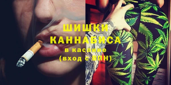 прущий лед Богданович