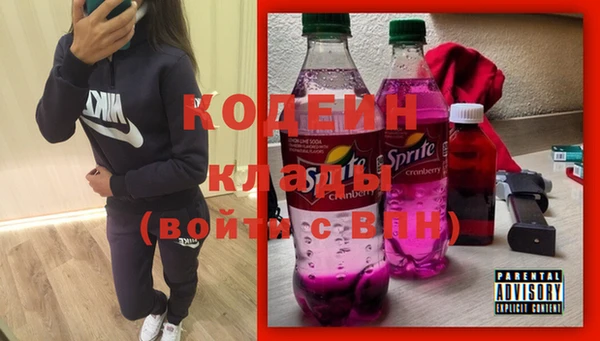 мдпв Богородицк