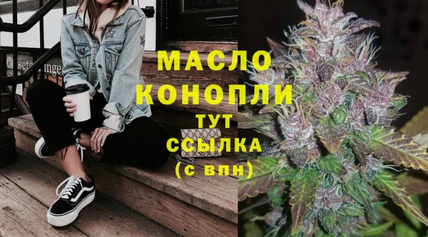 мдпв Богородицк
