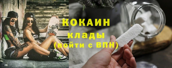 прущий лед Богданович