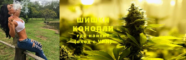 прущий лед Богданович