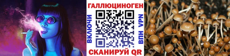 Псилоцибиновые грибы Psilocybine cubensis  Михайлов 