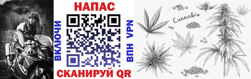 Бошки марихуана Ganja Михайлов